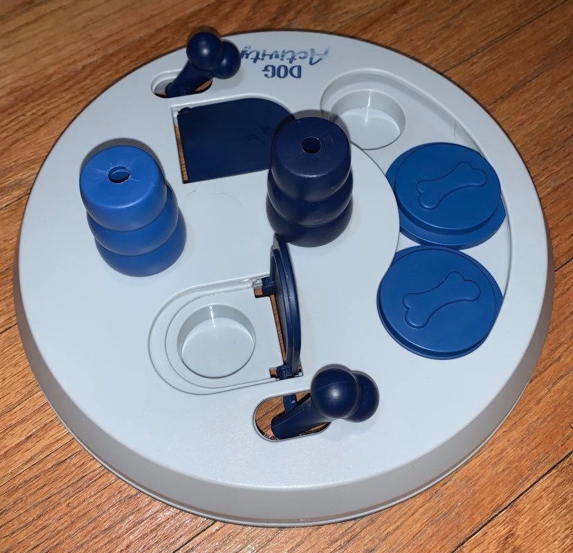 Jeu de réflexion pour chien en plastique, avec des cases à friandises à ouvrir, posé sur un parquet